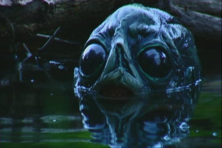 Stillbild 9 ur CREATURE FROM THE HILLBILLY LAGOON