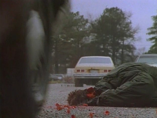 Stillbild 9 ur PSYCHO KICKBOXER & CANVAS OF BLOOD