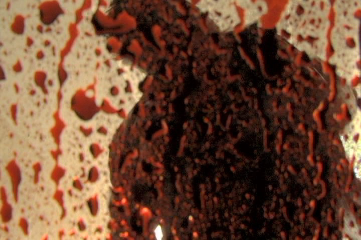 Stillbild 8 ur SPECIAL DEAD