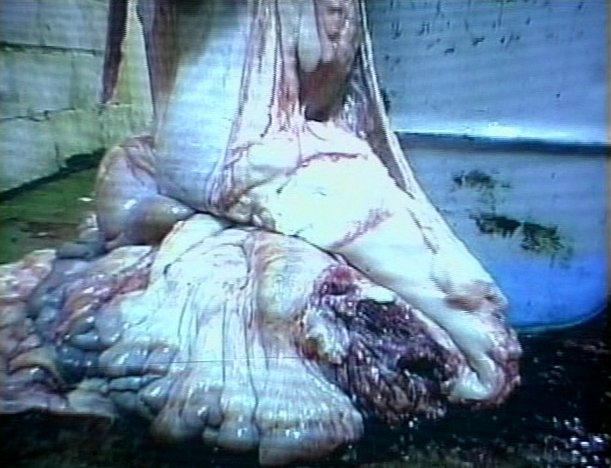 Stillbild 4 ur THE SEVERED HEAD NETWORK